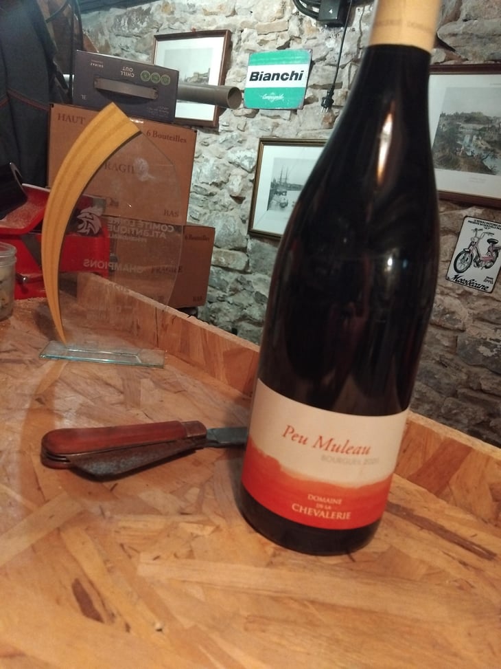 Chevalerie - Domaine De La Chevalerie - Stéphanie, Emmanuel & Laurie Caslot 