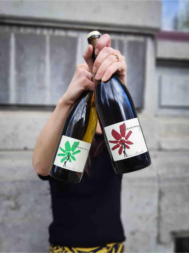 Cheverny (blanc) - Domaine - Hervé Villemade - Hervé Villemade 