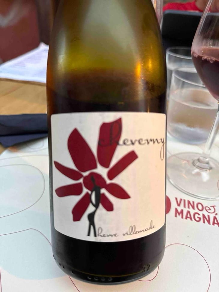 Cheverny (rouge) - Domaine - Hervé Villemade - Hervé Villemade 