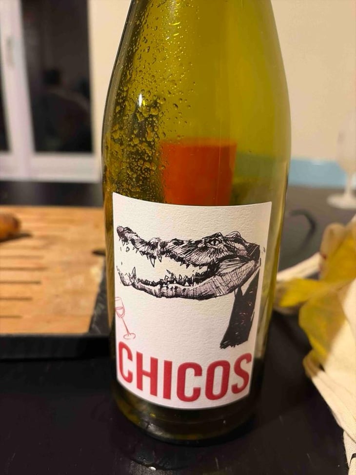 Chicos - Julien Pineau - Julien Pineau 