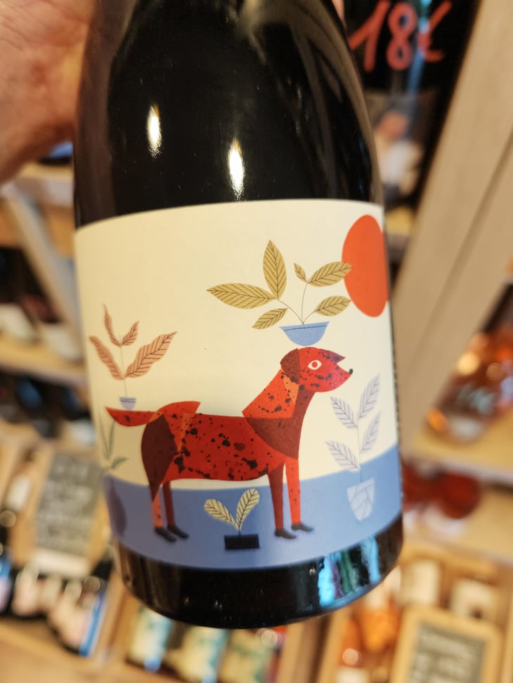 Chien rouge - Frace - Vincent Lafage 