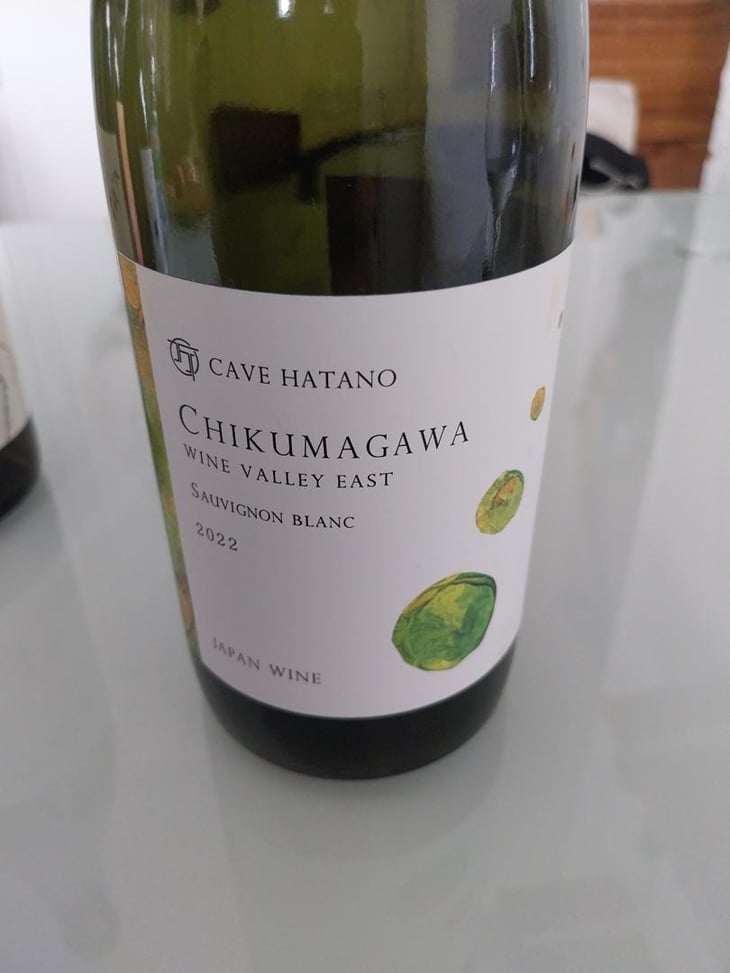 CHIKUMAGAWA - Cave Hatano - Nobutaka Hatano -2023