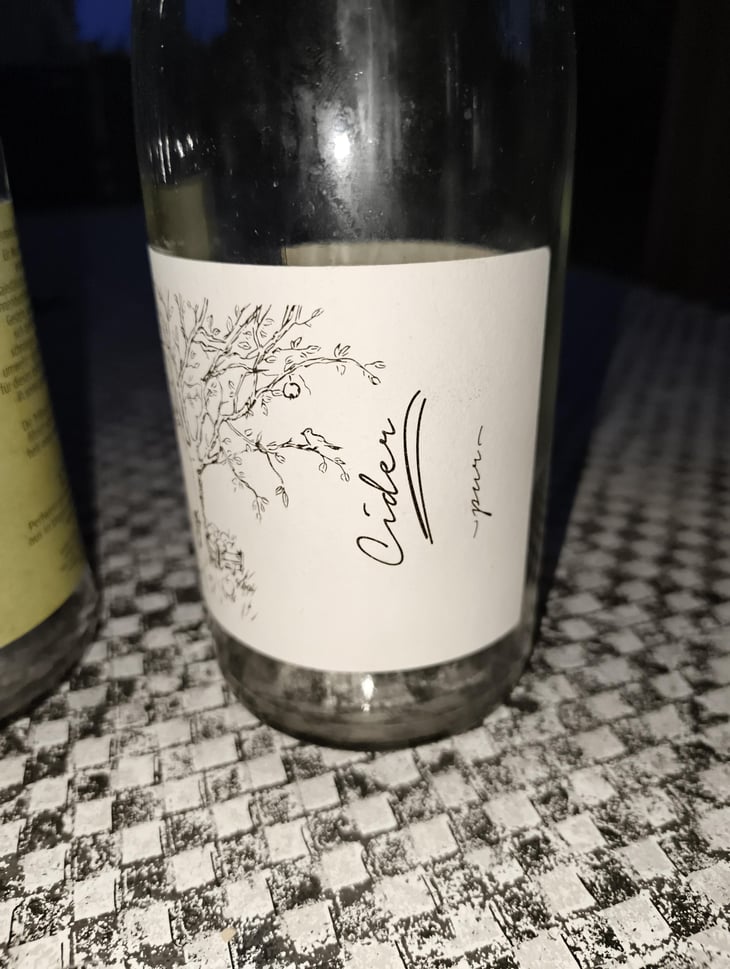 Cider - Brand Bros - Weingut Brand - Daniel & Jonas Brand -2021