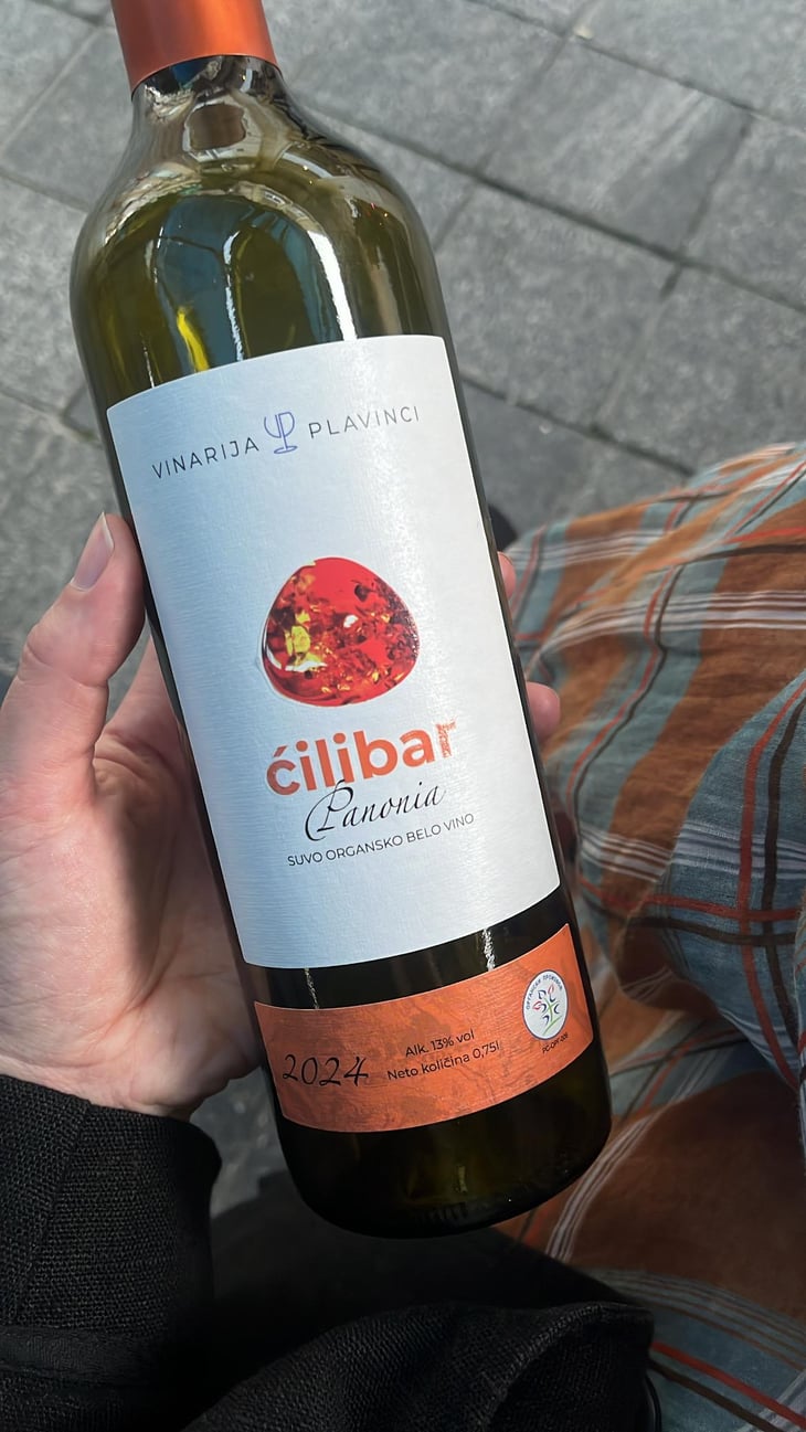 Ćilibar - Vinarija Plavinci - Branislav Andjelic -2024