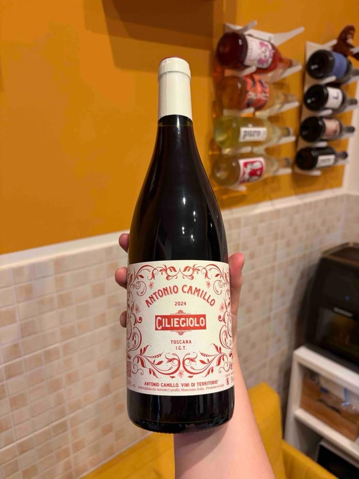 Ciliegiolo - Vini Di Territorio - Antonio Camillo 
