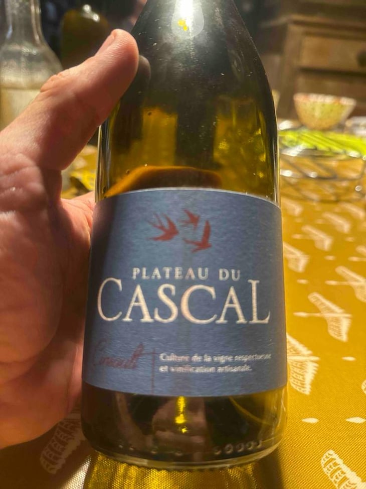 Cinsault 2020 - Plateau Du Cascal - Sofi Bataillard et Julien Veyret -2019