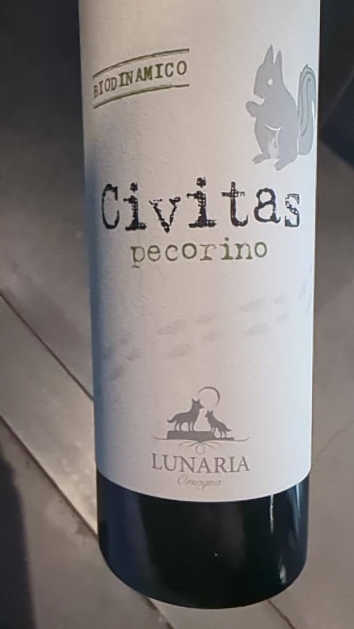 Civitas - Cantina Orsogna - Cantina Orsogna 