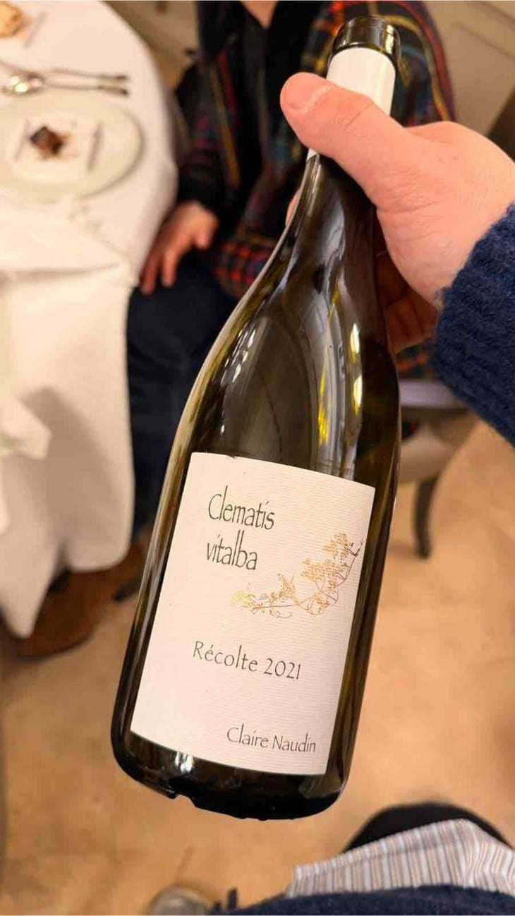 Clematis Vitalba - Domaine Henri Naudin-Ferrand - Claire Naudin 
