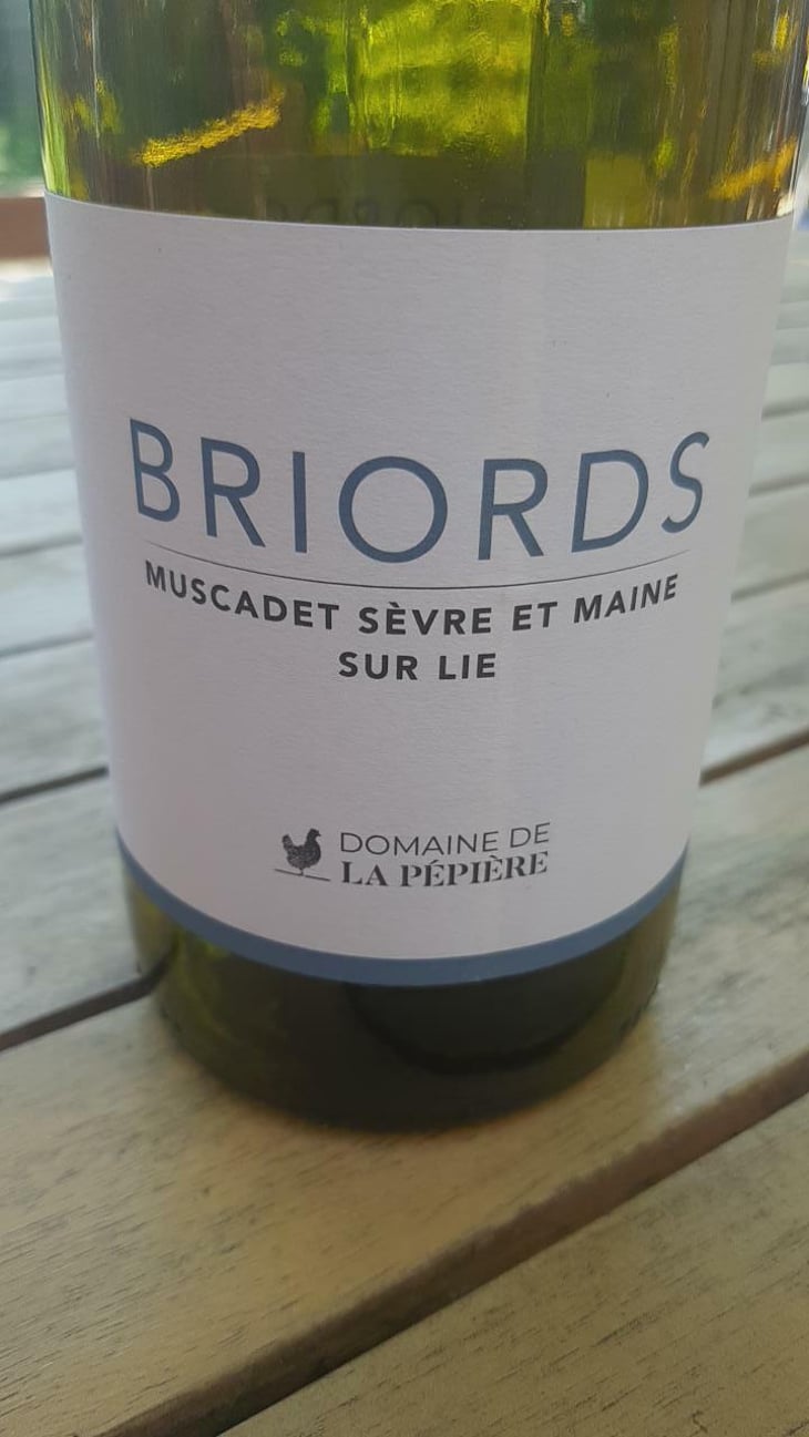 Clos des Briords - Domaine de la Pépière - Marc Ollivier, Rémi Branger & Gwénaëlle Croix 