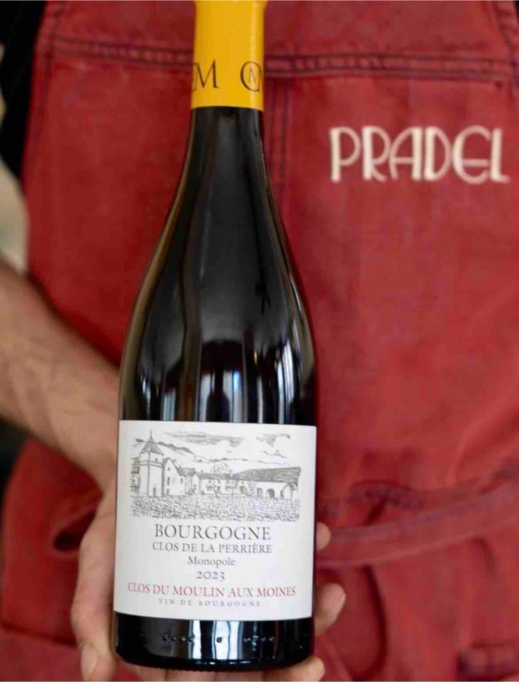 Clos Du Moulin Aux Moines - Domaine SCEA - Willy Roulendes & Famille Andrieu 