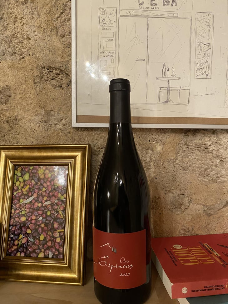 Clos Espinous - Rémi Jalliet - Rémi Jalliet 