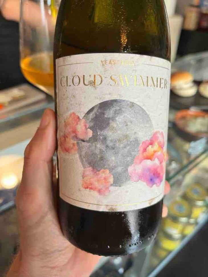Cloud swimmer - Yeasteria - Esmeralda Spitaleri & Jacopo Nardi -2022
