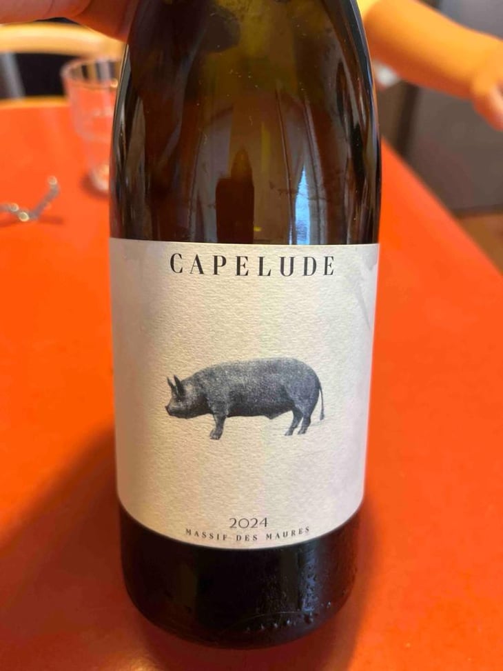 Cochon Blanc - La Ferme de Capelude - Pierre Gérin -2021