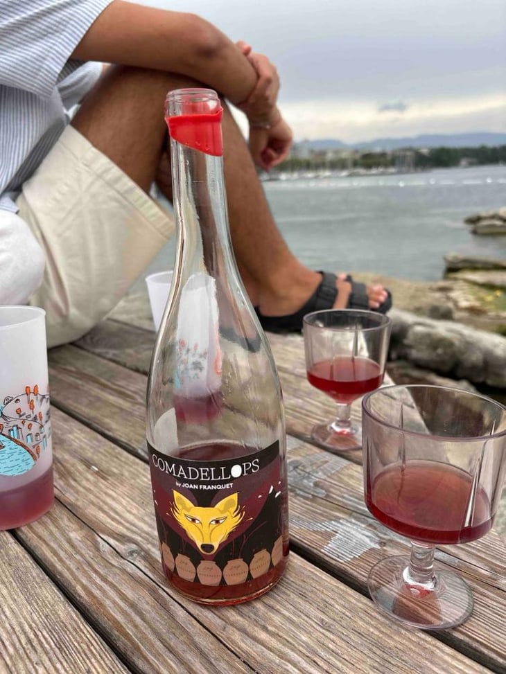Comadellops Violeta - Costador Terroirs Mediterranis - Joan Franquet 