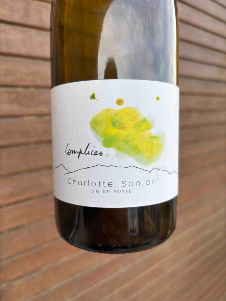 Complices - Charlotte Sonjon - Charlotte Sonjon -2022