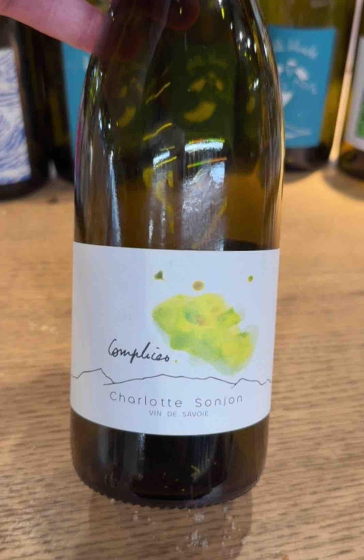 Complices - Charlotte Sonjon - Charlotte Sonjon -2022