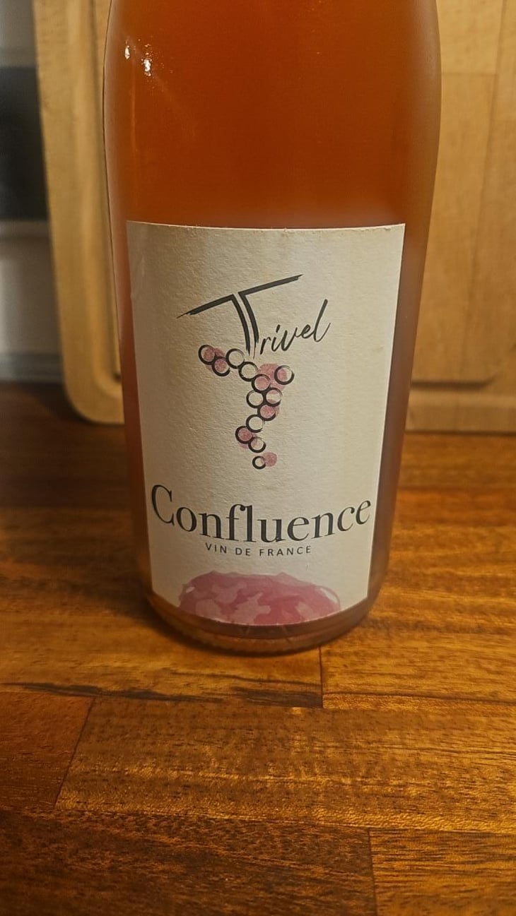 Confluence - Domaine de Trivel - Sidonie Joggerst & Thomas Guillon -2021