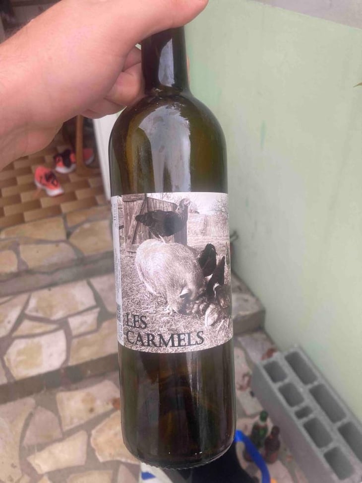 Copains comme cochons - Domaine Les Carmels - Yorick & Sophie Lavaud -2023