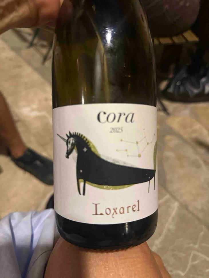 Cora de Loxarel - Heretat MontRubì - Mont Rubì 