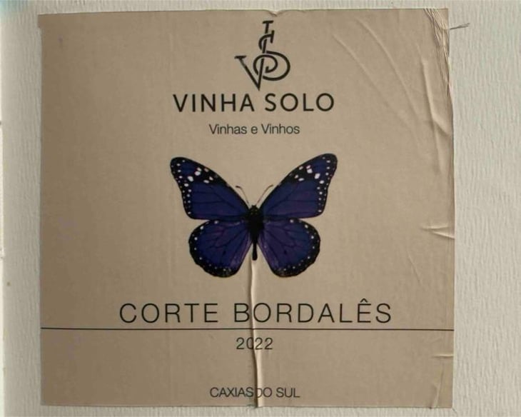 Corte Bordalês - Vinha Solo - Milton Scola, Raimundo Demore -2022