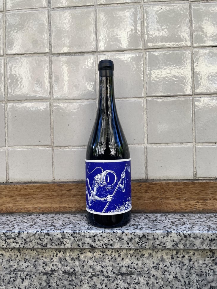 Cosmonauta En El Paraje 601 - El Mozo Wines - Bodegas Compañon Arrieta - El Mozo 