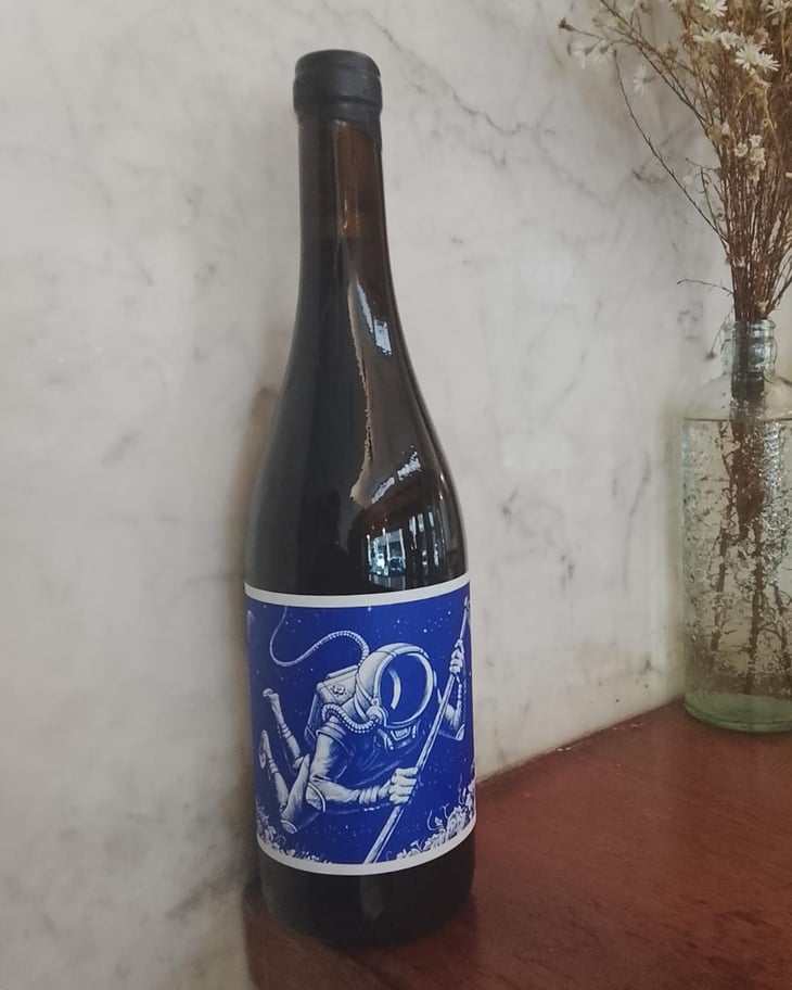 Cosmonauta En El Paraje 601 - El Mozo Wines - Bodegas Compañon Arrieta - El Mozo 
