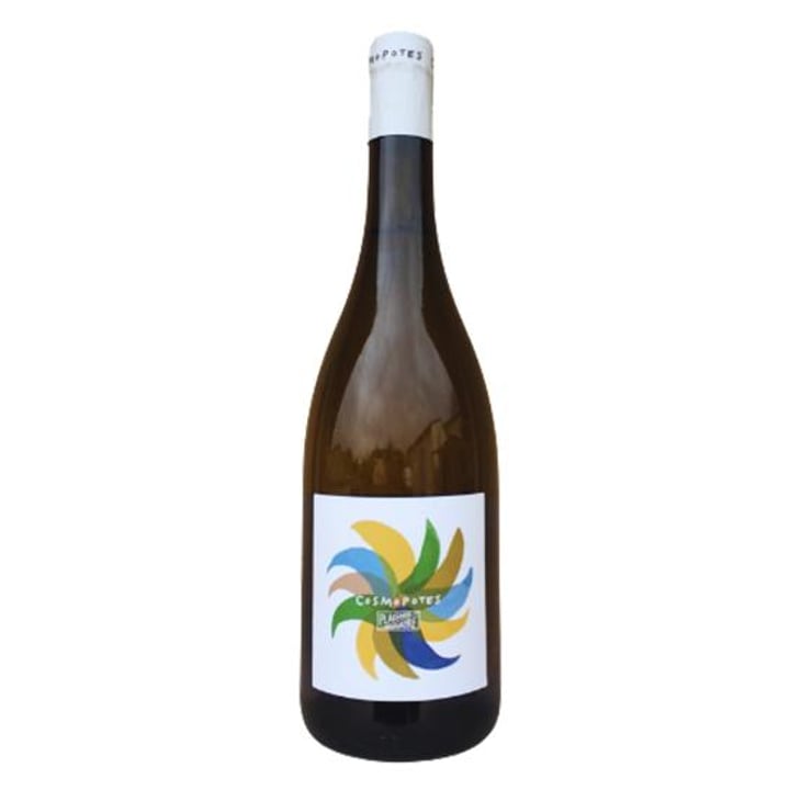 Cosmopotes - Domaine Plaisance - Penavayre - Louis, Marc et Thibaut Penavayre -2024