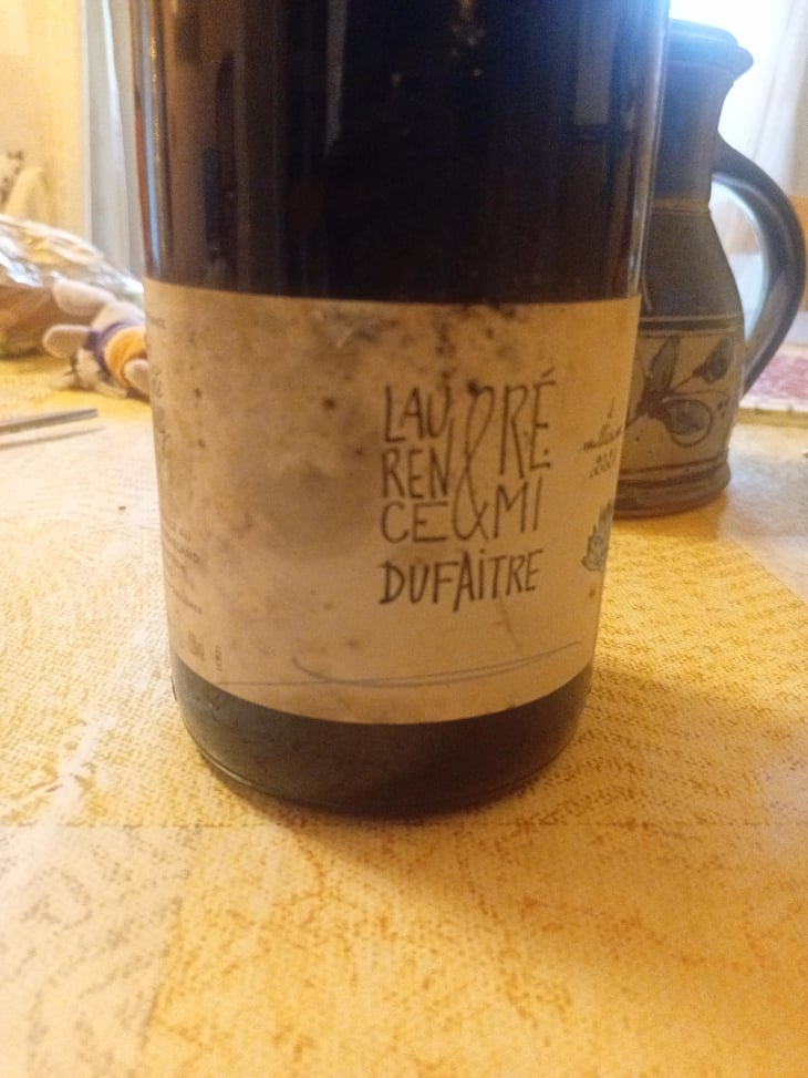 Côte de Brouilly - Domaine de Botheland - Rémi Dufaitre & Laurence Liatard 