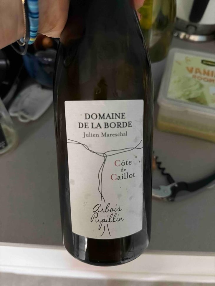 Côte de Caillot - Domaine de la Borde - Julien Mareschal 