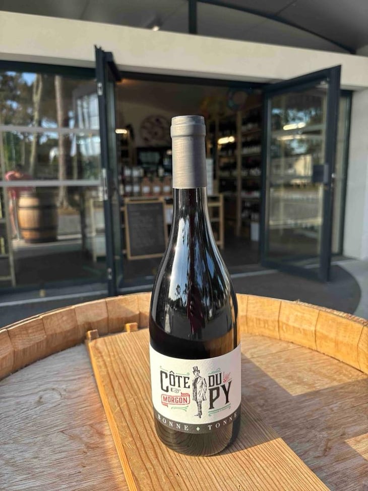 Côte Du Py - Domaine de la Bonne Tonne - Thomas & Anne Laure Agatensi 