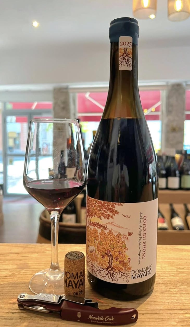 Côte du Rhône - Domaine Mayard - Arthur et Hugo Mayard -2024