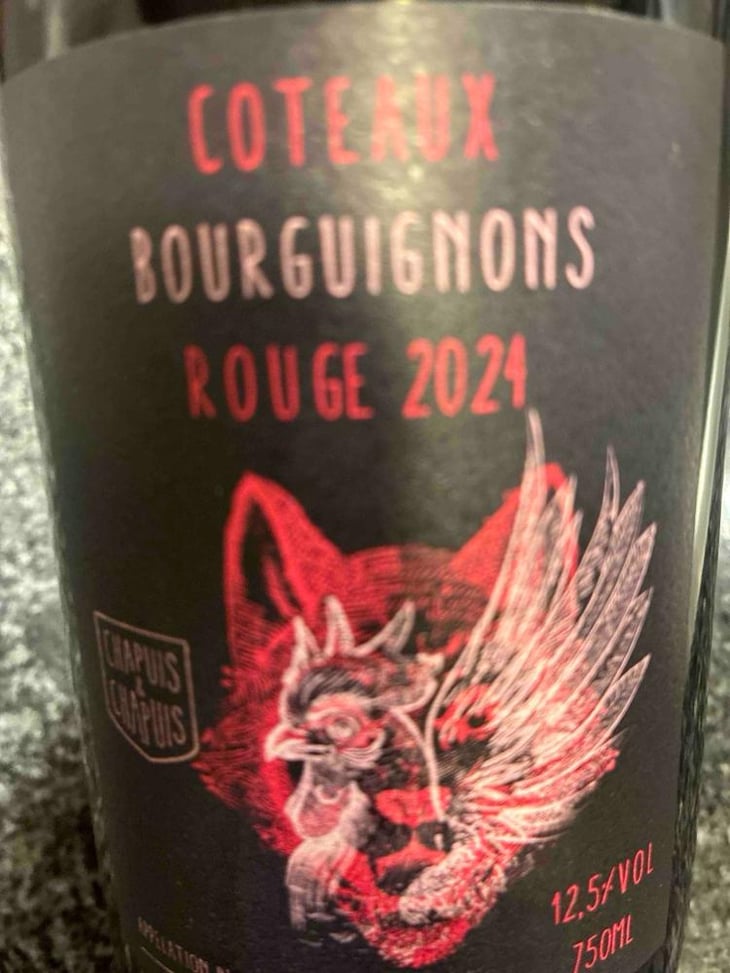 Côteaux Bourguignons - Chapuis & Chapuis - Romain & Jean-Guillaume Chapuis 