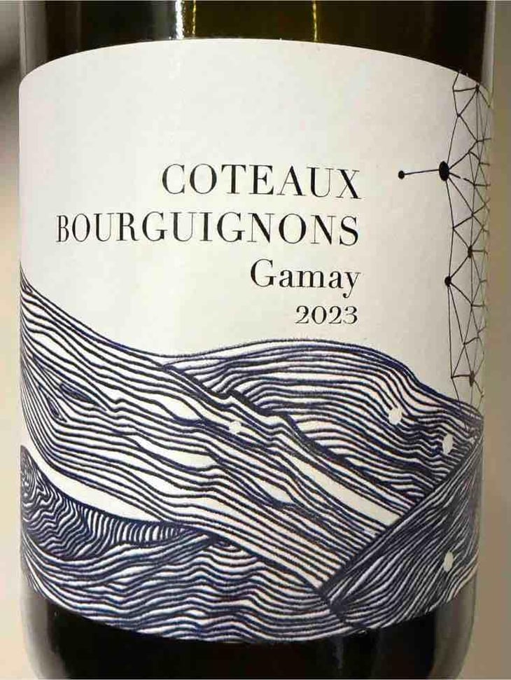 Coteaux Bourguignons Gamay - Domaine Didon - Naima & David Didon 