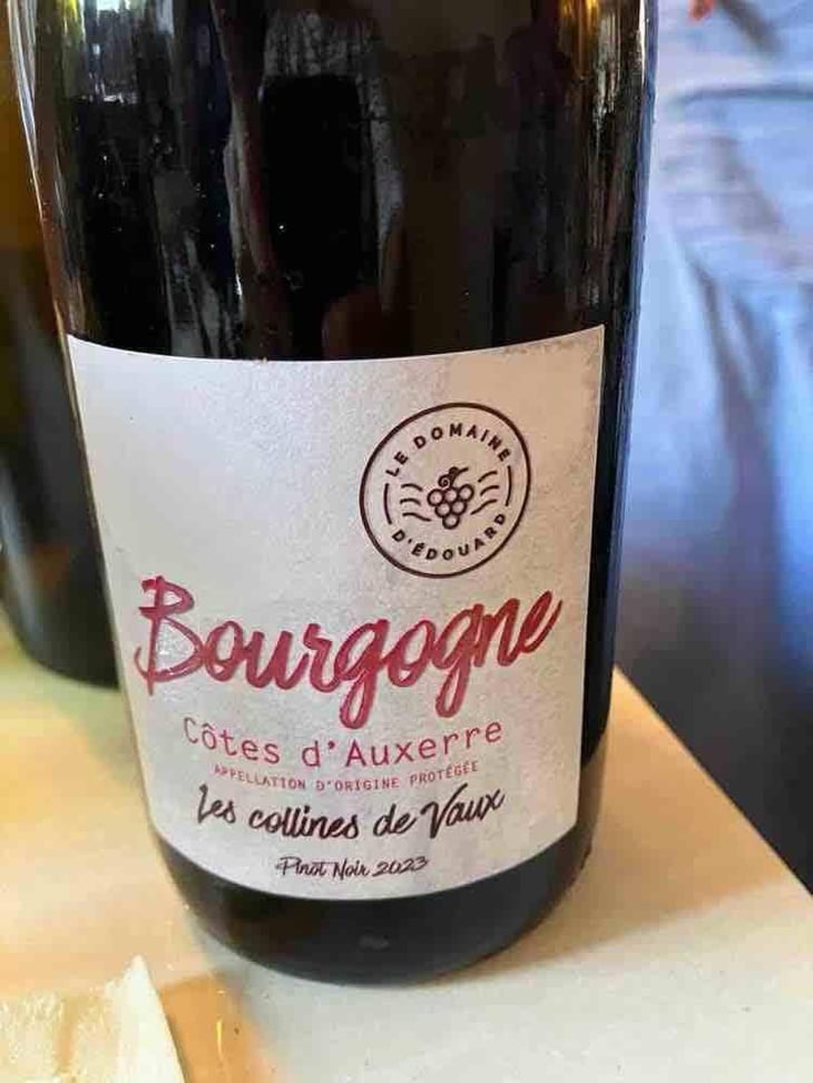 Côtes d'Auxerre - Domaine d'Edouard - Édouard Lepesme -2021