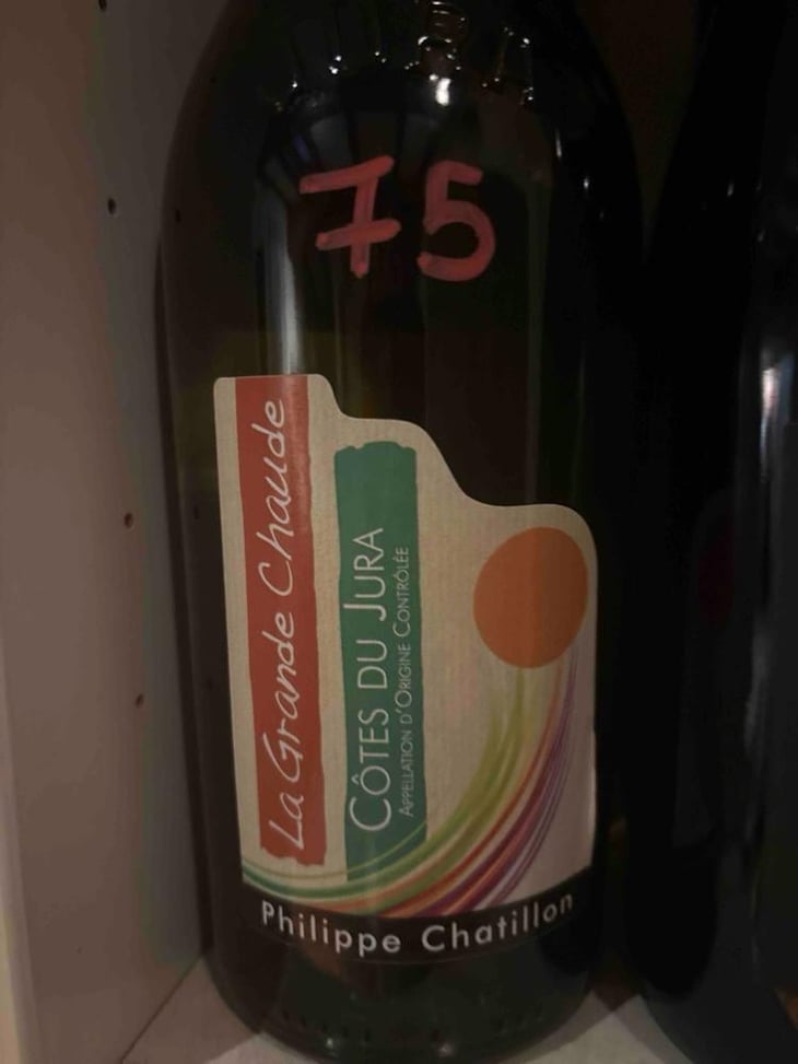 Côtes-du-Jura - "Puits Saint-Pierre" - Domaine Philippe Chatillon - Philippe Chatillon 