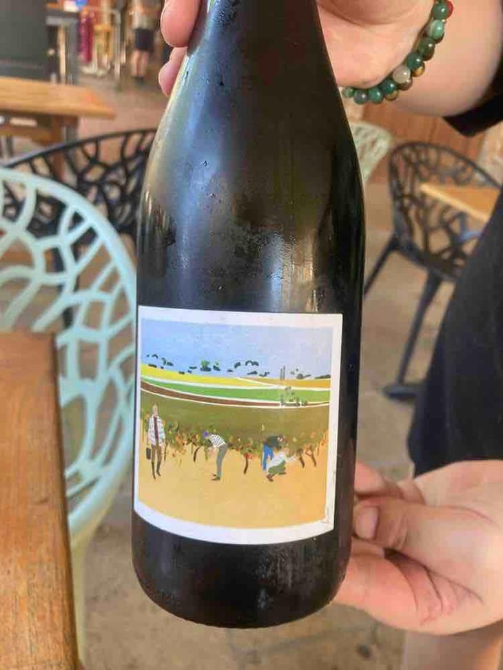 Côtes du Rhône Nouveau - Domaine Marcel Richaud - Marcel Richaud 