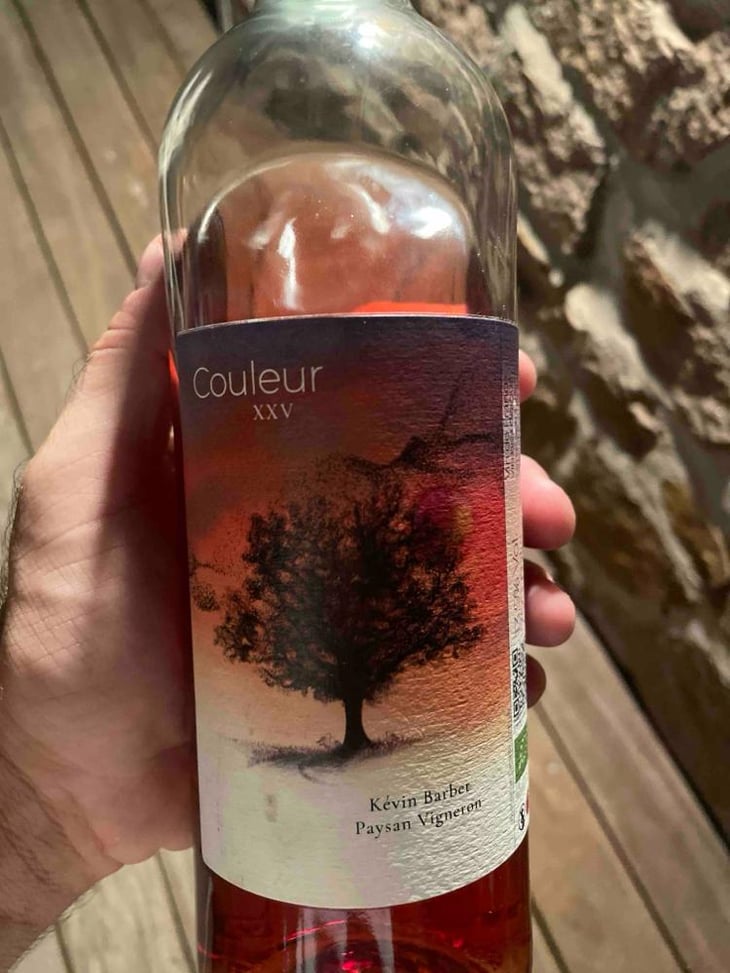 Couleur - Kévin Barbet paysan vigneron - Kévin Barbet -2020