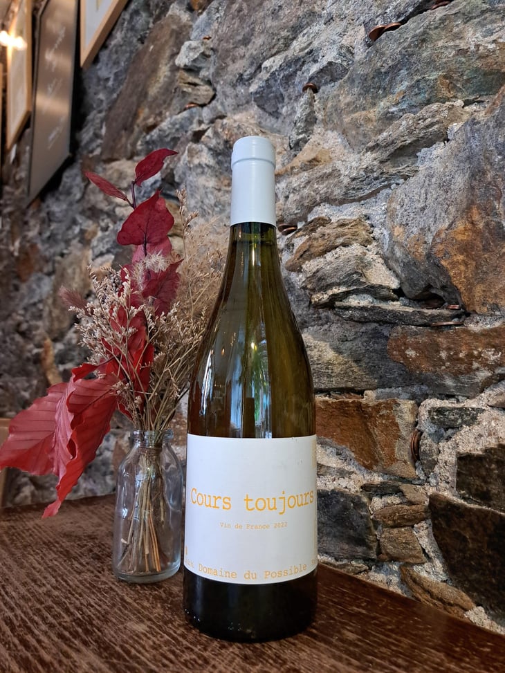 Cours Toujours - Domaine du Possible - Loïc Roure 