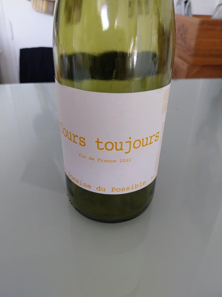 Cours Toujours - Domaine du Possible - Loïc Roure 