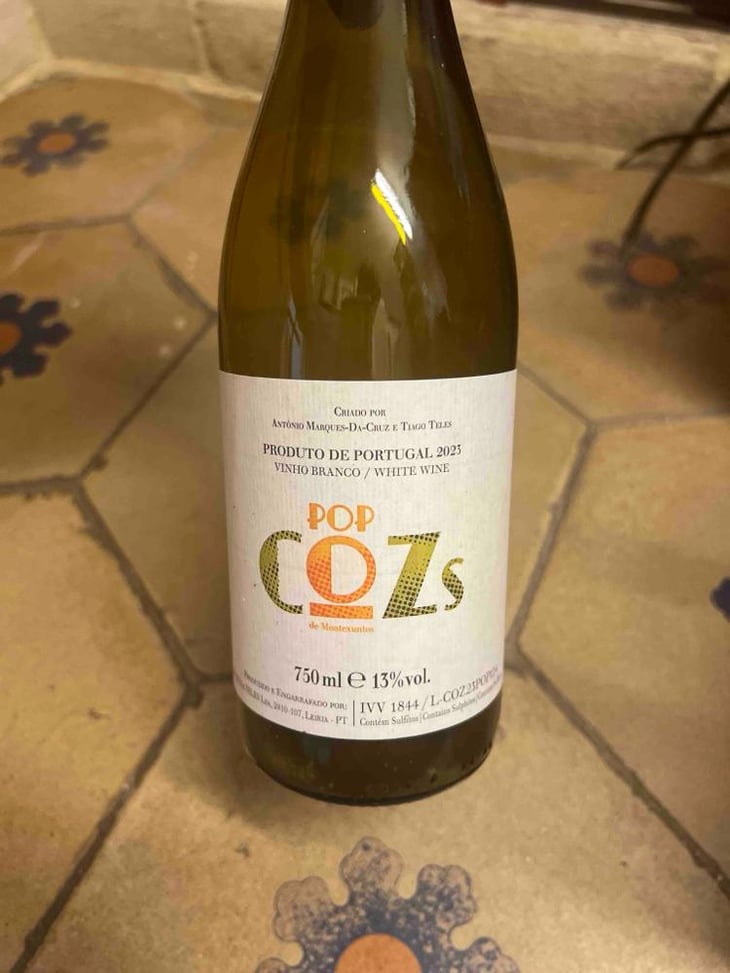 COZ POP VItal - Da Cruz & Teles - Tiago Teles and Antonio Marques Da Cruz -2022