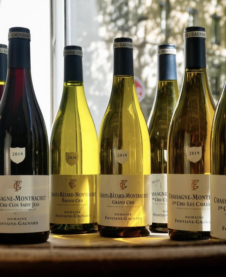 Criots-Bâtard-Montrachet Grand Cru - Fontaine Gagnard - Fontaine Gagnard -2019