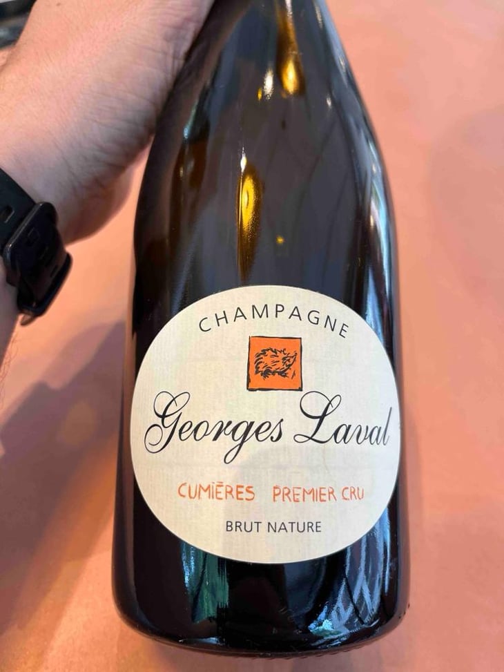 Cumières Brut - Champagne Georges Laval - Mathilde et Vincent Laval 