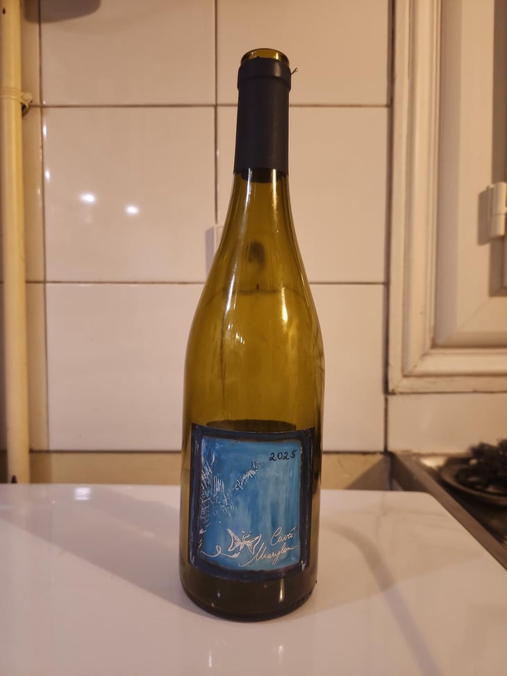 Cuvée Marylou - Domaine Guy Breton - P'tit Max - Guy Breton 