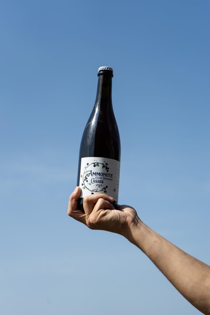 CUVÉE VENDANGE CASSIS - Brasserie Ammonite - Simon Lecomte -2023