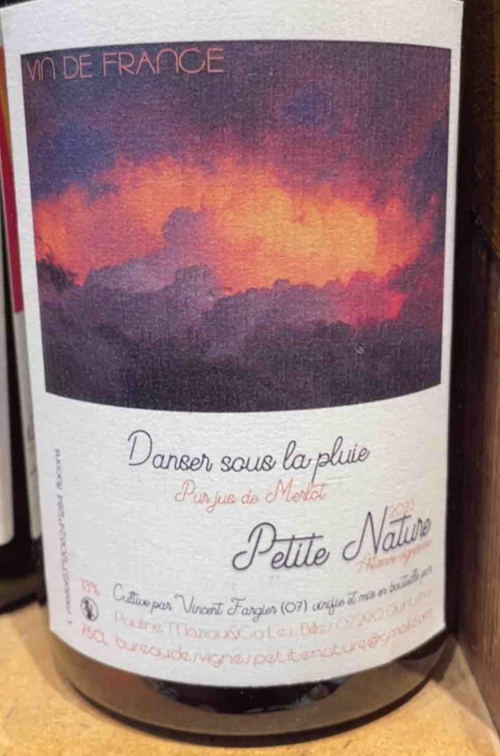 Danser Sous La Pluie - Petite Nature - Pauline Maziou -2021