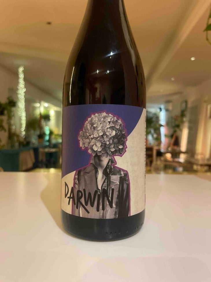 Darwin Vidoc - Roman Des Vignes - Roland et Roman Tournier 