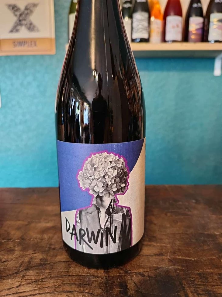 Darwin Vidoc - Roman Des Vignes - Roland et Roman Tournier 