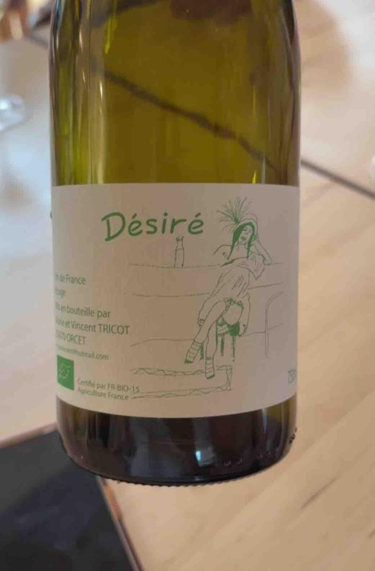 Désiré - Marie et Vincent Tricot - Vincent et Marie Tricot 
