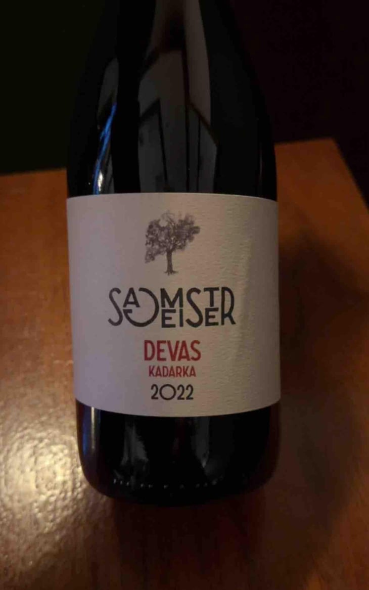 Devas Kadarka - Vino Sagmeister Bor - Ernő Sagmeister -2021