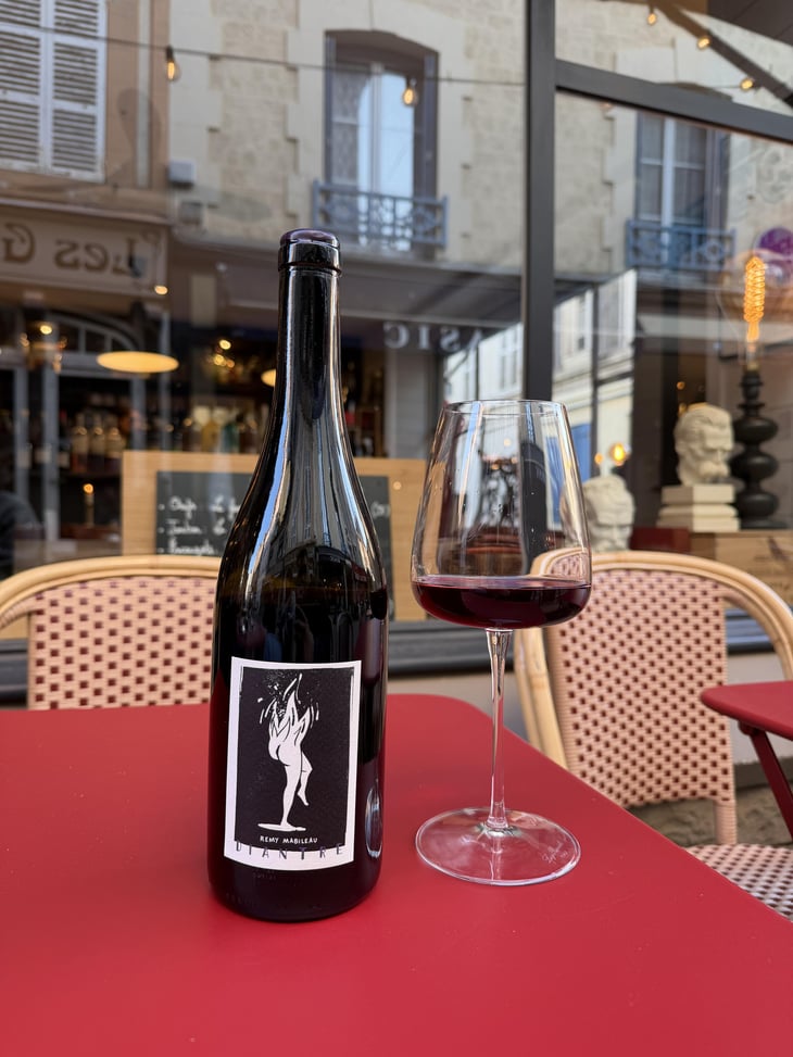 Diantre - Domaine Frédéric Mabileau - Rémy Mabileau 